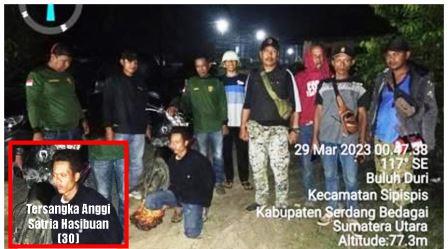 Mencuri Buah Sawit PTPN 3 Gunung Pamela, Seorang Warga Sipis-Pis Diciduk Petugas Tim Pam dan BKO